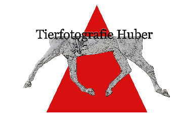 Logo TF-Huber dreieck.jpg